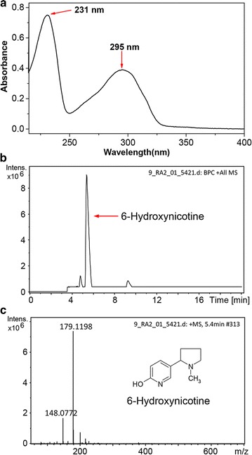 Fig. 8