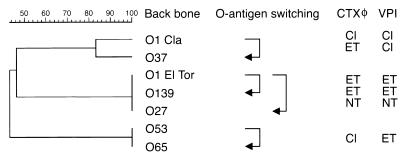 FIG. 6.