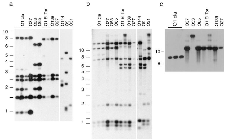 FIG. 4.