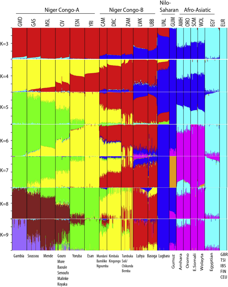 Figure 3