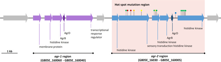 FIG 5