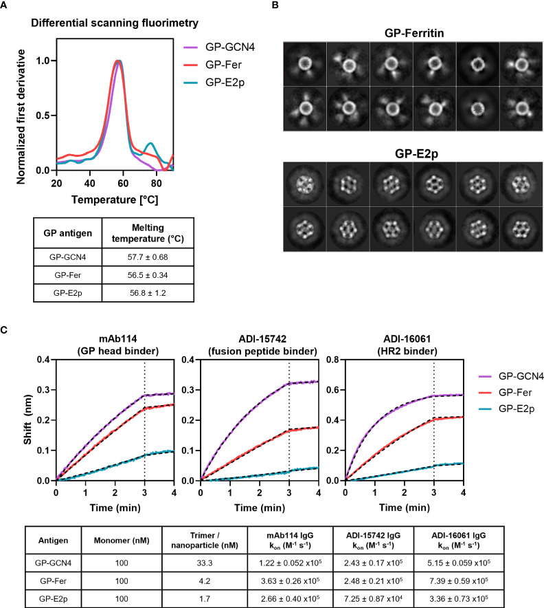 Figure 2