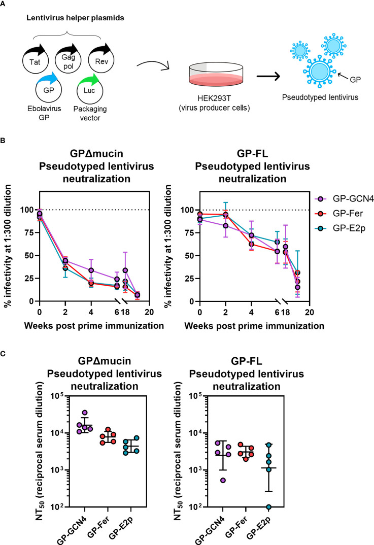 Figure 4