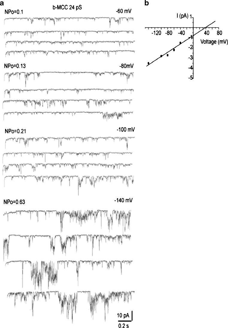 Fig. 6