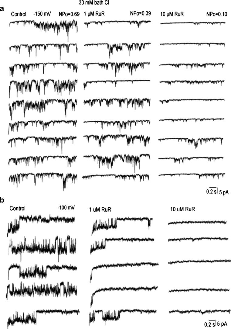 Fig. 8