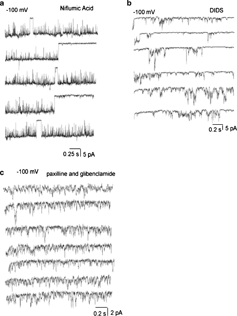 Fig. 10