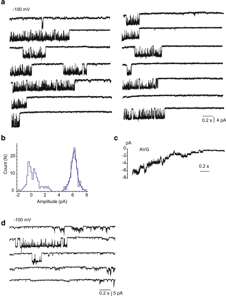 Fig. 3