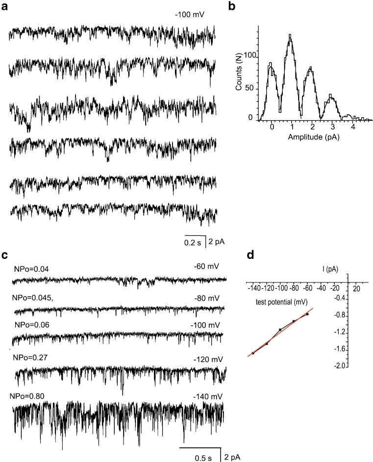 Fig. 2