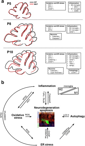 Fig. 9