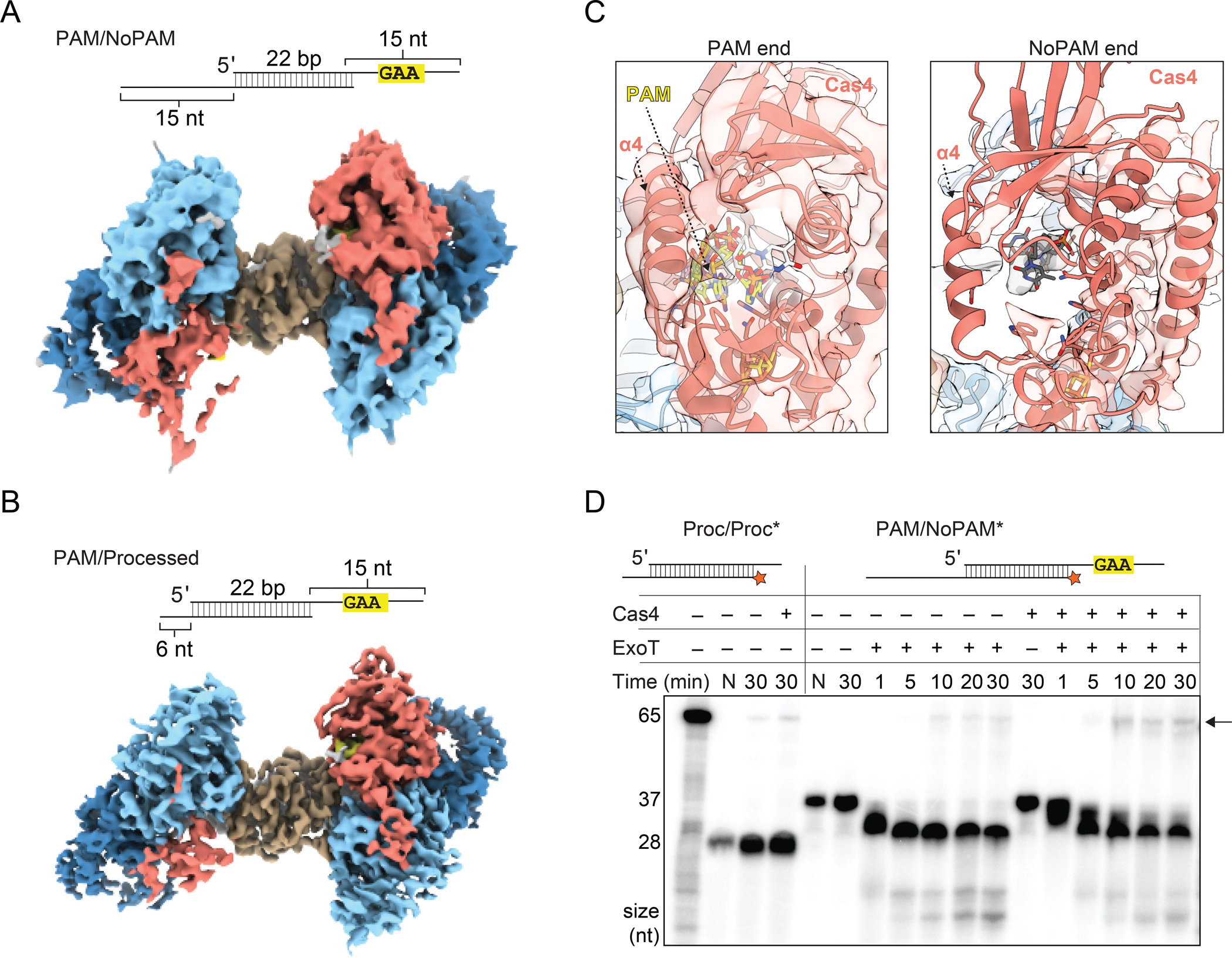 Figure 5,