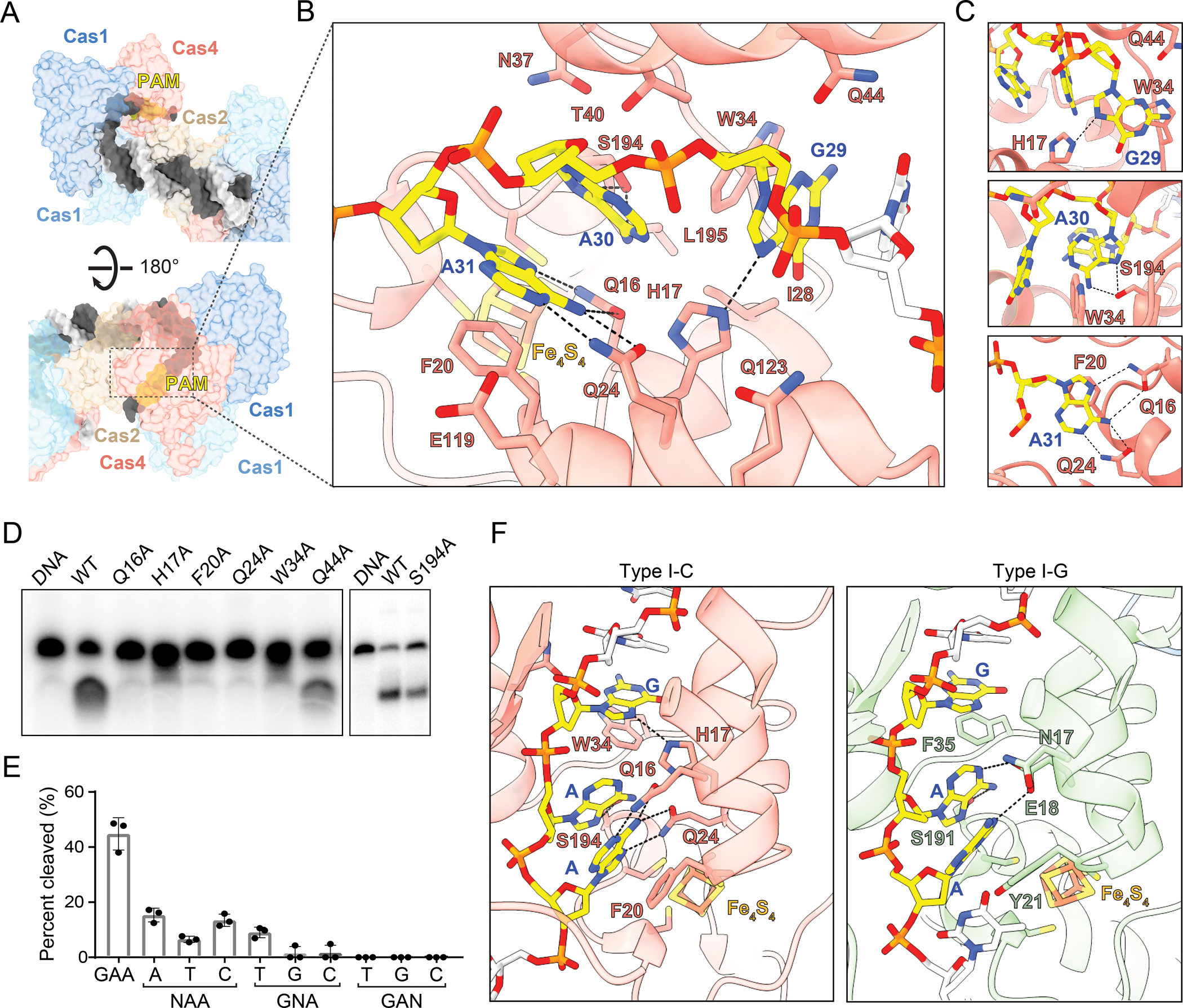 Figure 3: