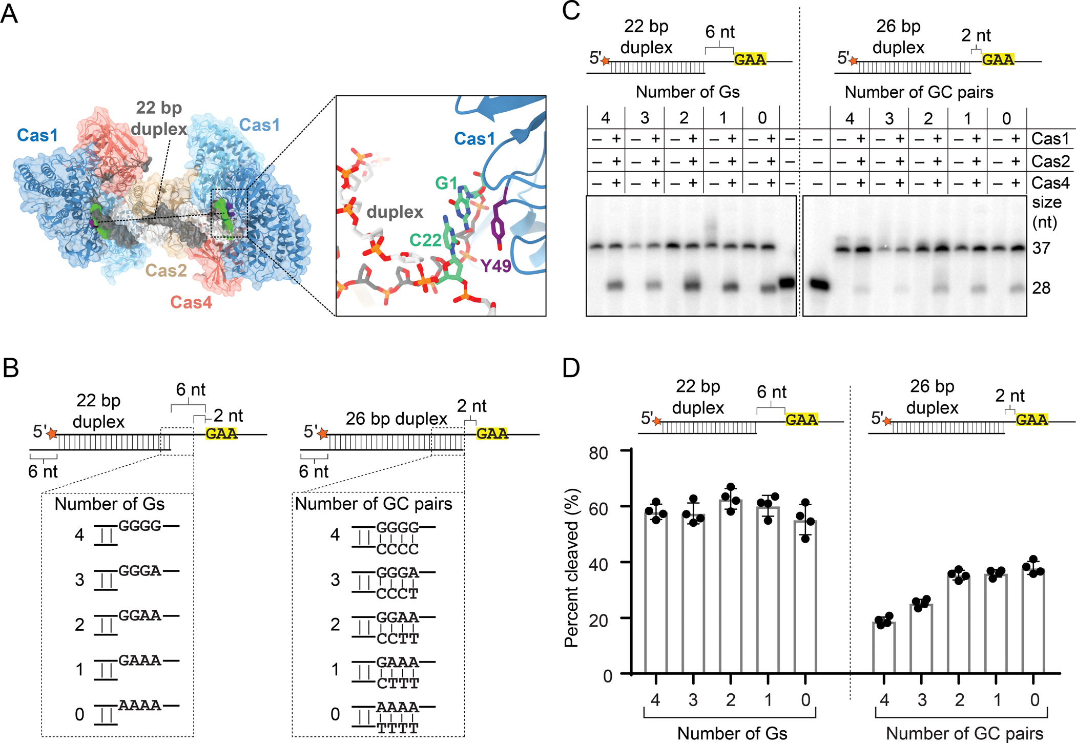 Figure 4,