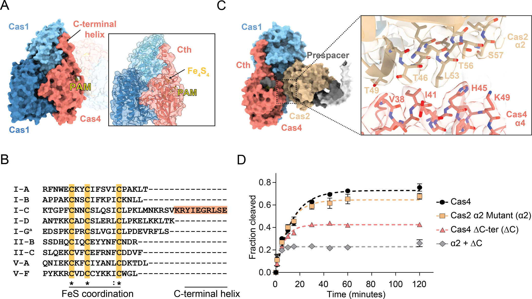 Figure 2,