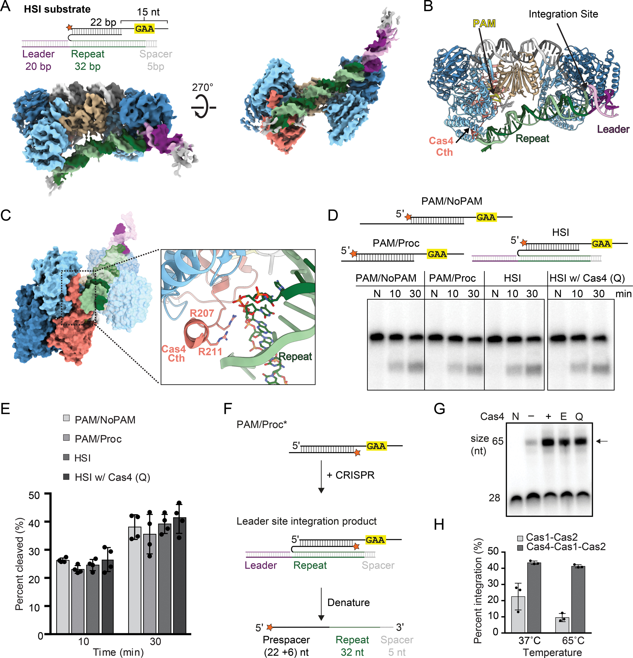 Figure 6,