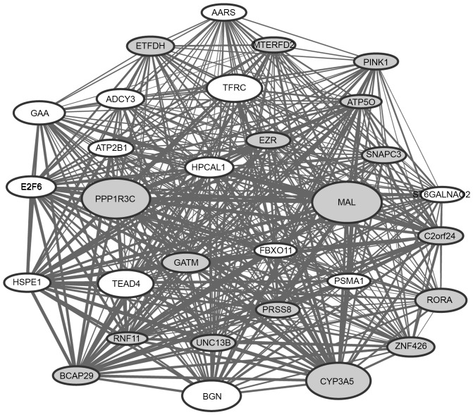 Figure 3.