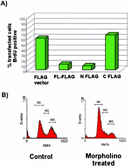 Figure 9.