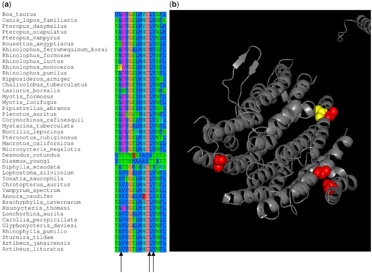 Fig. 7.