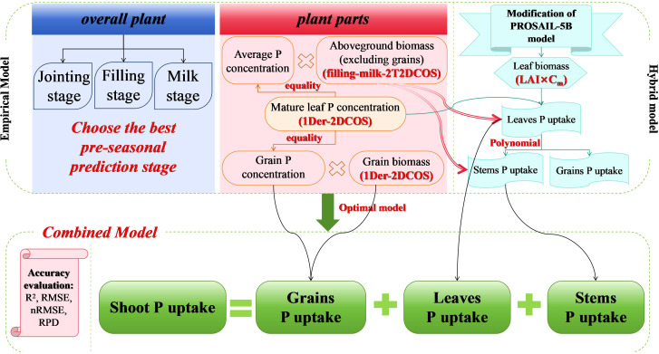 Figure 2