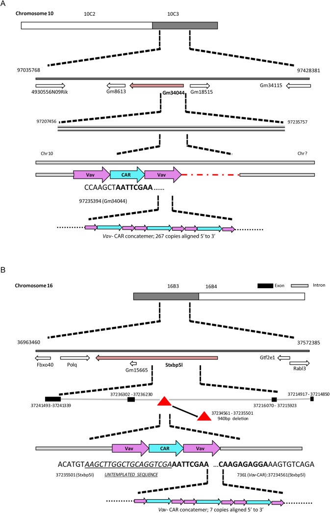 Fig 10