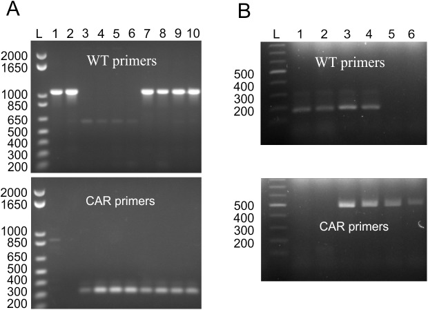 Fig 11