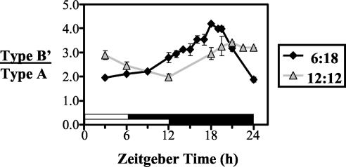 FIG. 2.