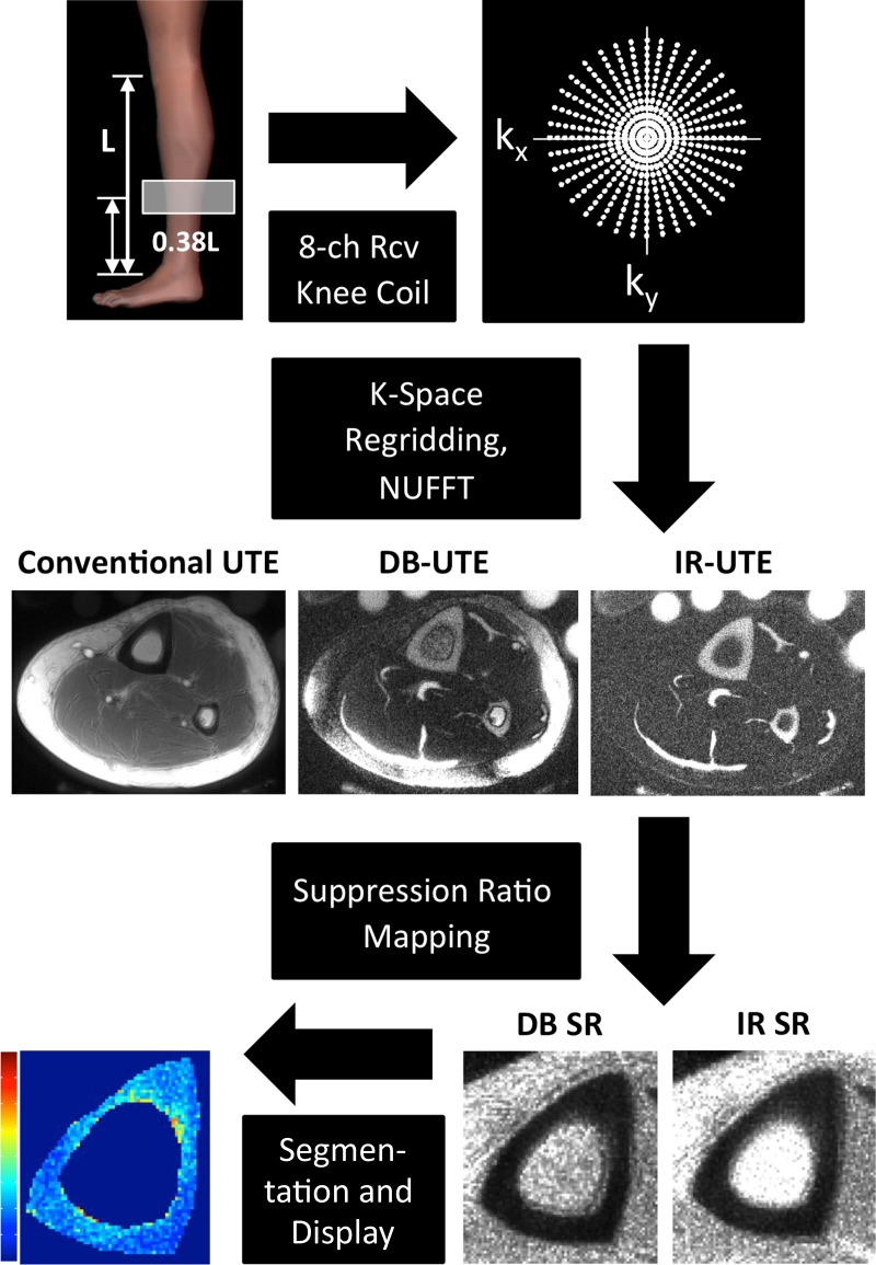 Figure 3: