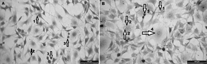 Fig. 3