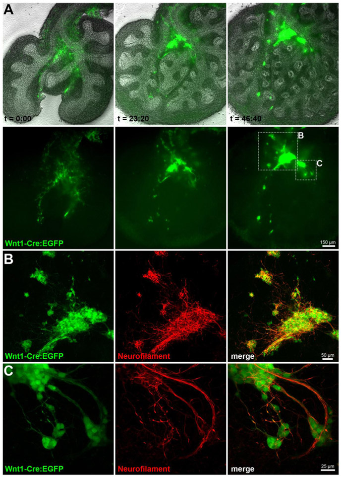 Figure 3.