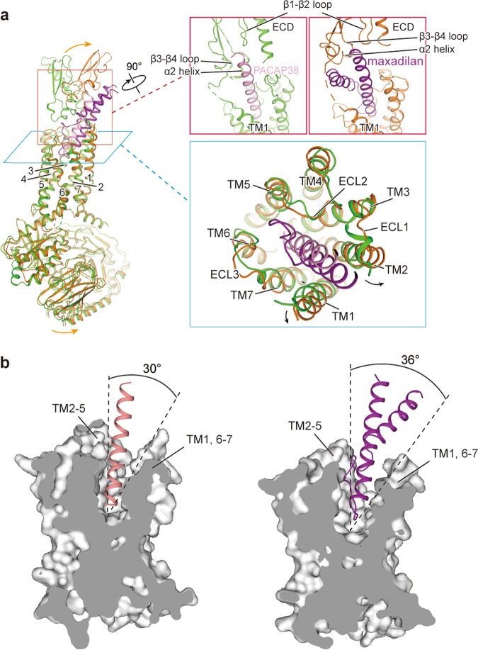 Fig. 4