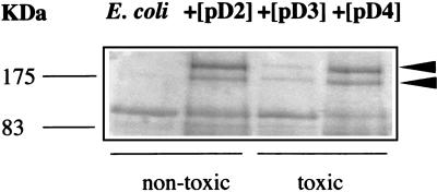 FIG. 7