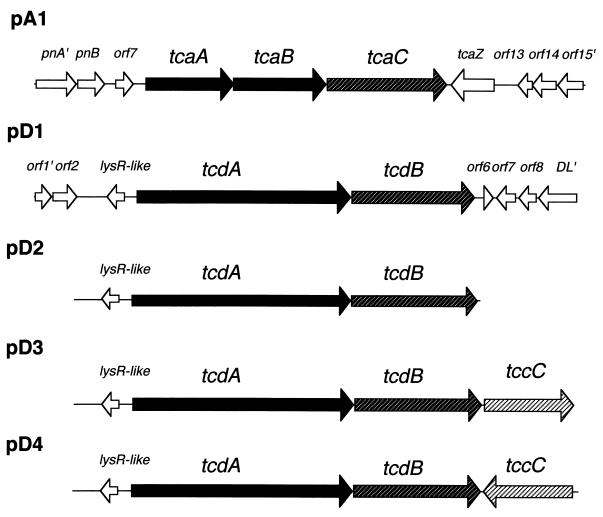 FIG. 1