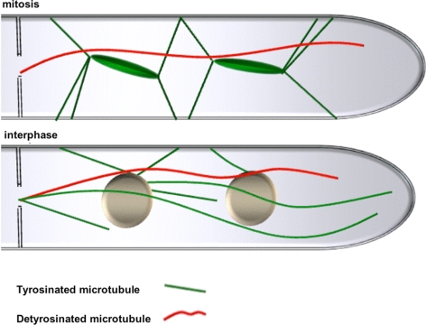 Figure 10.