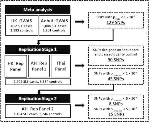 Figure 1