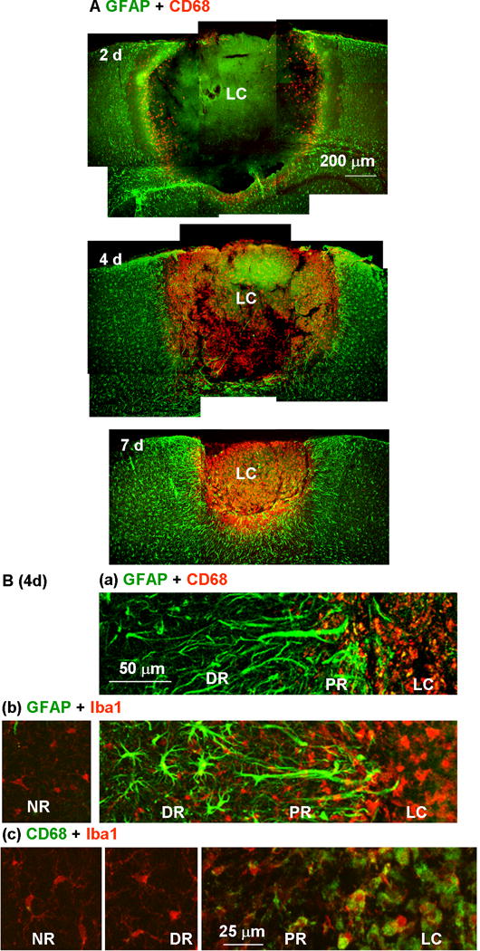 Fig. 10