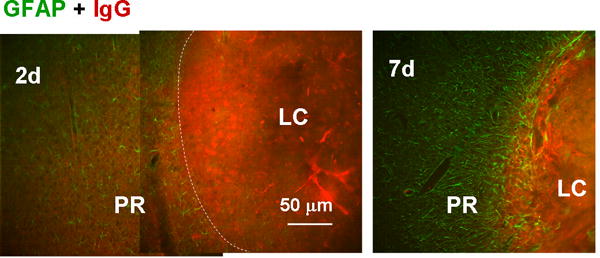 Fig. 9