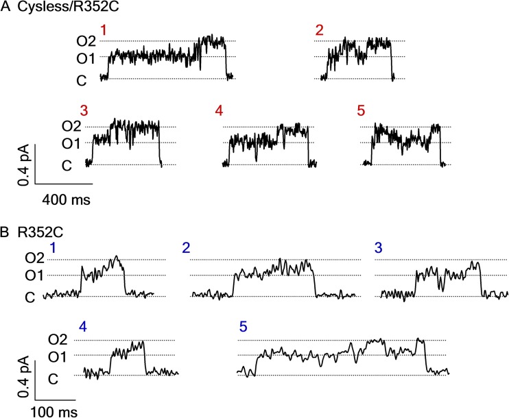 Figure 4.