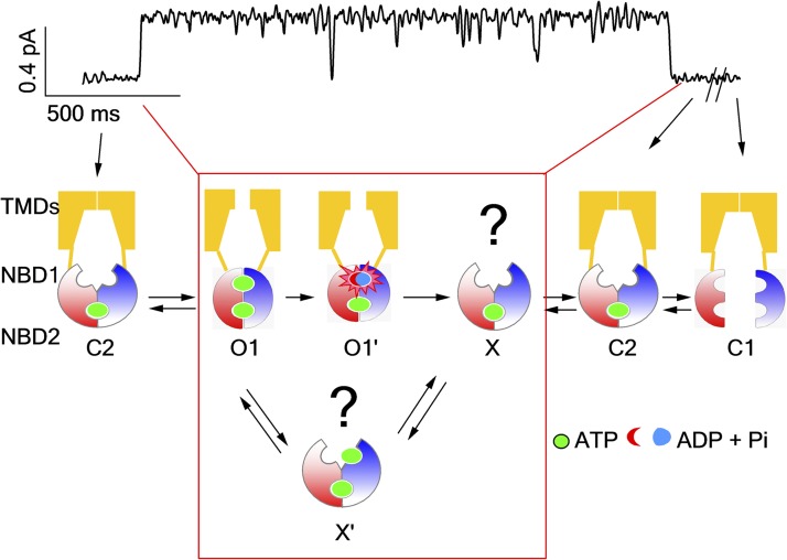 Figure 1.