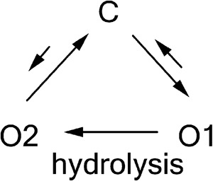 graphic file with name JGP_201210834_Scheme1.jpg