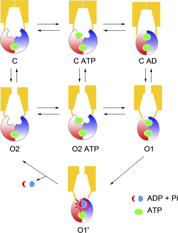 Figure 6.