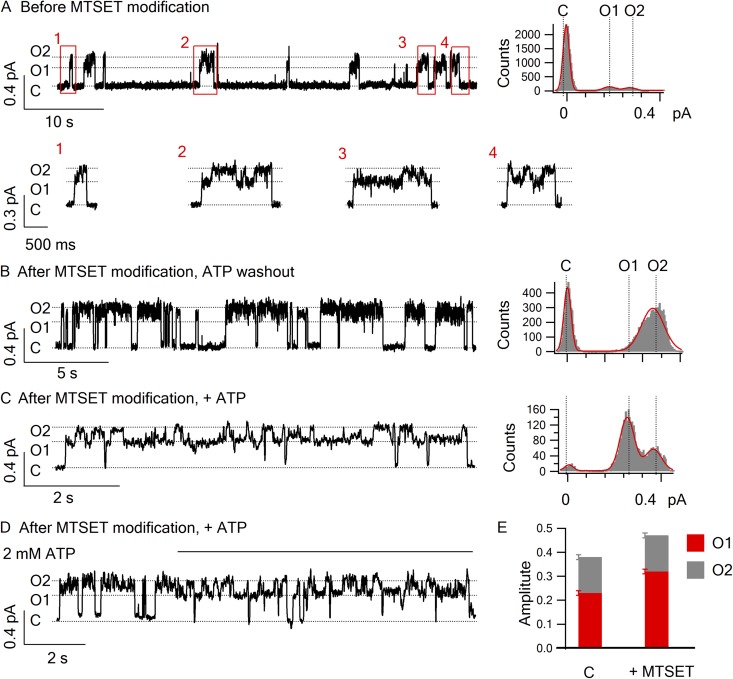 Figure 5.