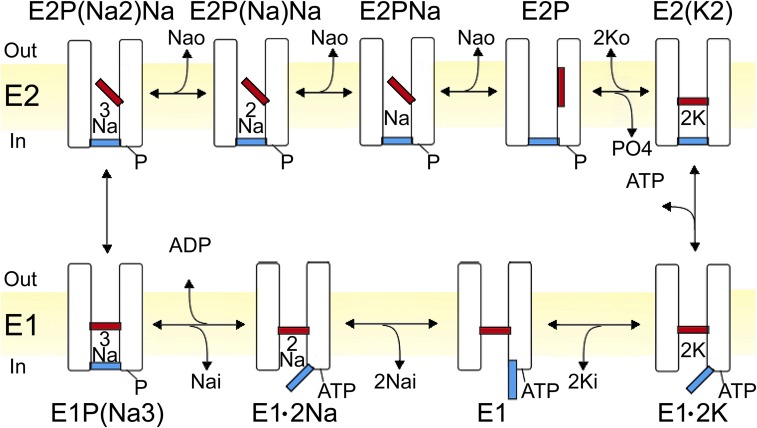 Figure 1.