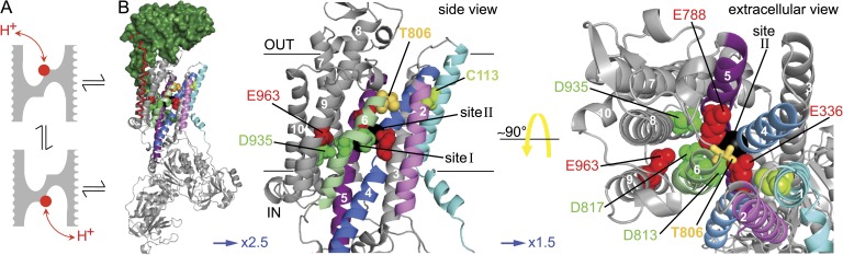 Figure 3.