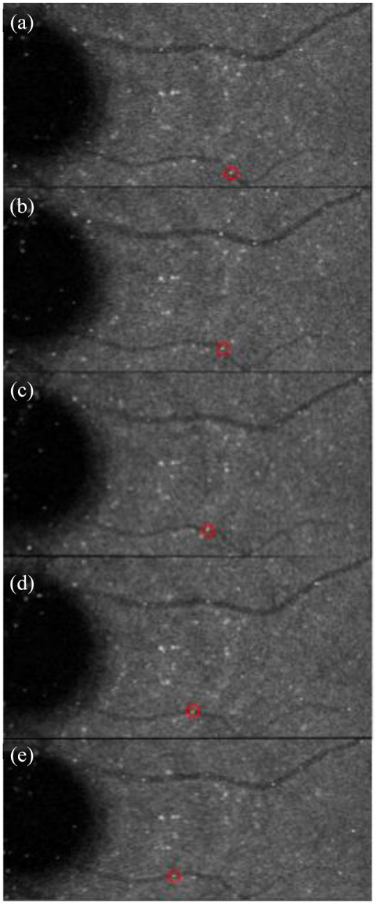 Figure 5.