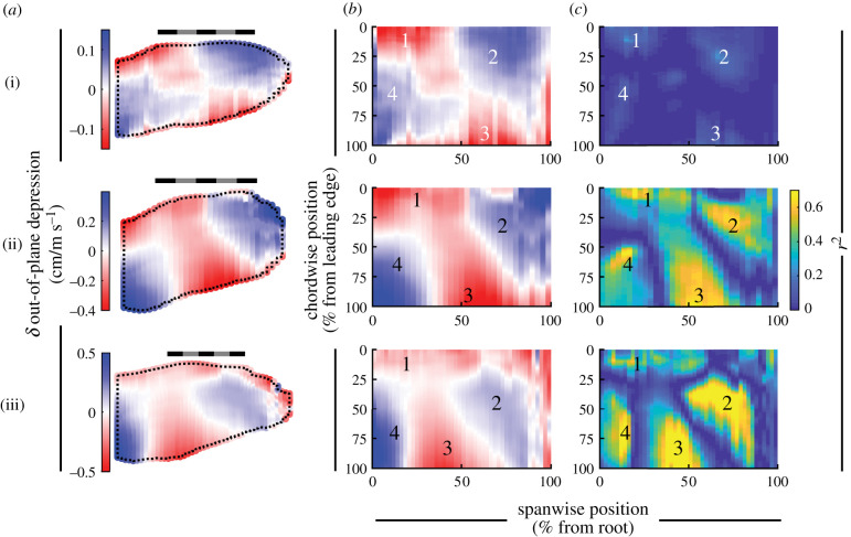 Figure 14. 