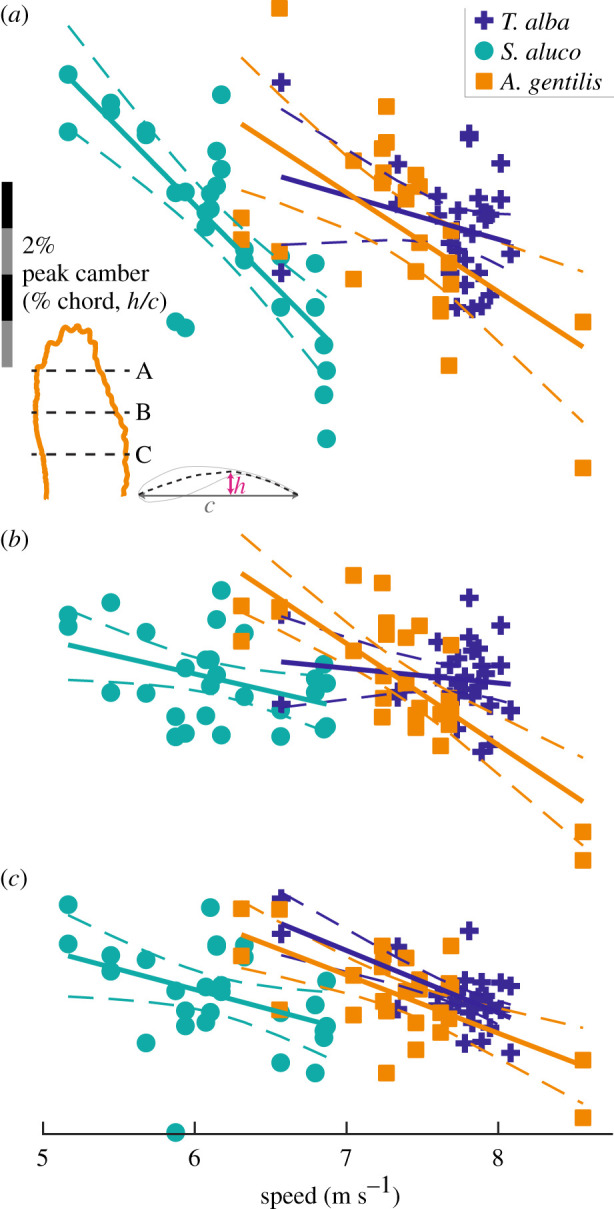 Figure 12. 