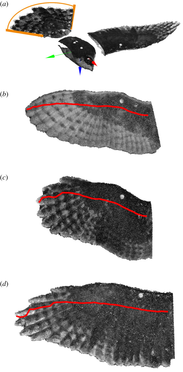 Figure 2. 