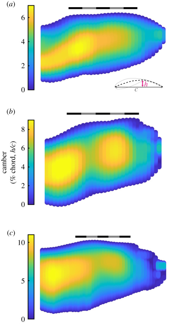 Figure 5. 