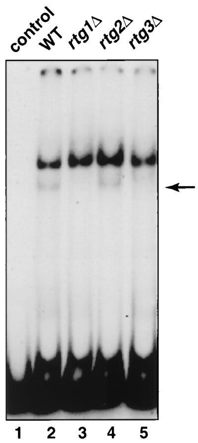 FIG. 4