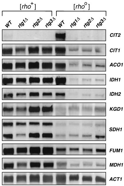 FIG. 7