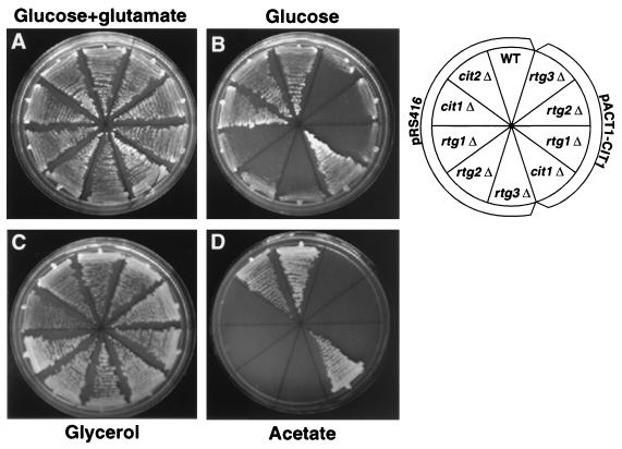 FIG. 6